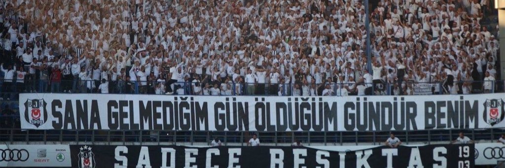tzcn86's profile banner image