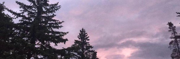 flickerhoran_'s profile banner image