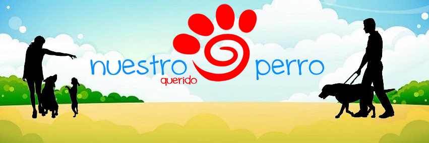 NuestroQPerro's profile banner image