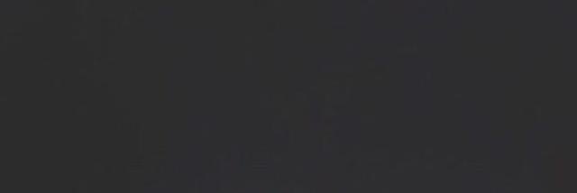 diego. banner