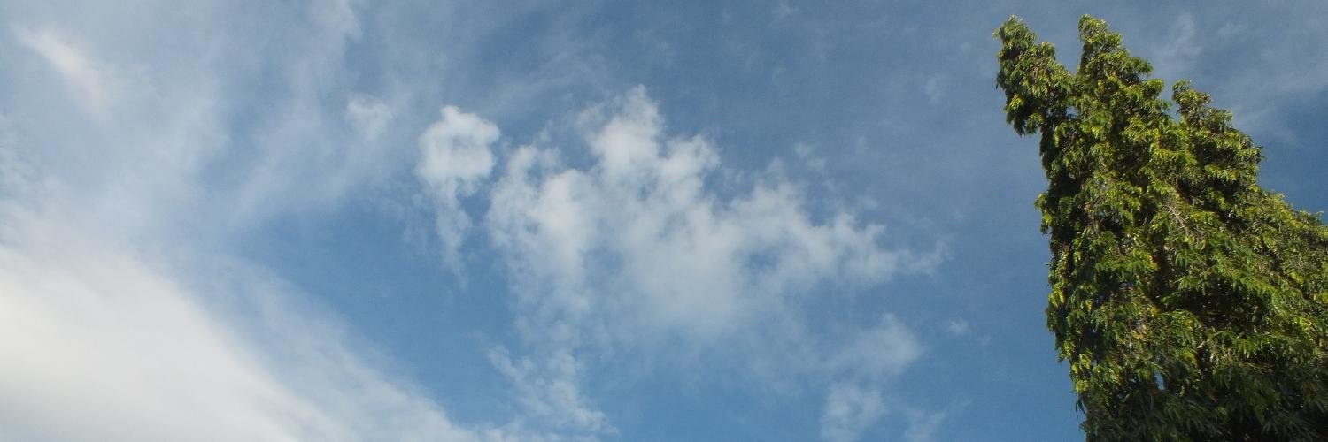 dorra_HZ's profile banner image