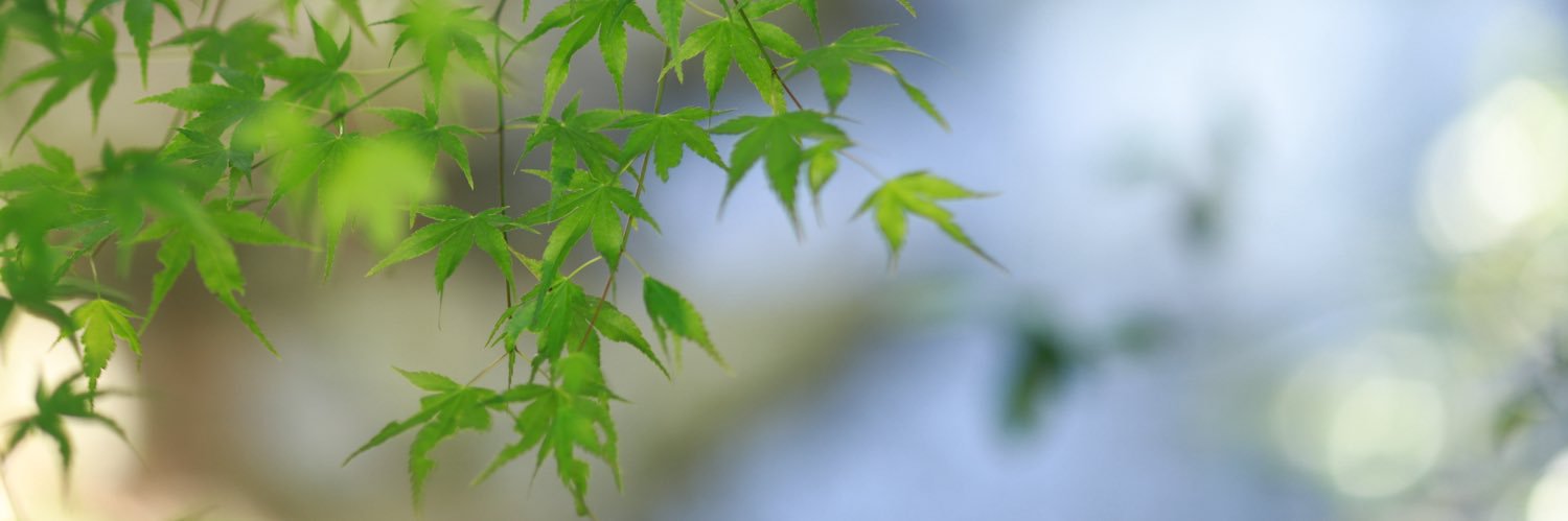 裏火 banner