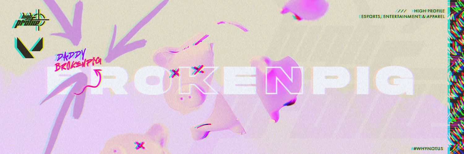 BrokenPiG banner
