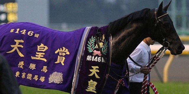 pinky2023's profile banner image