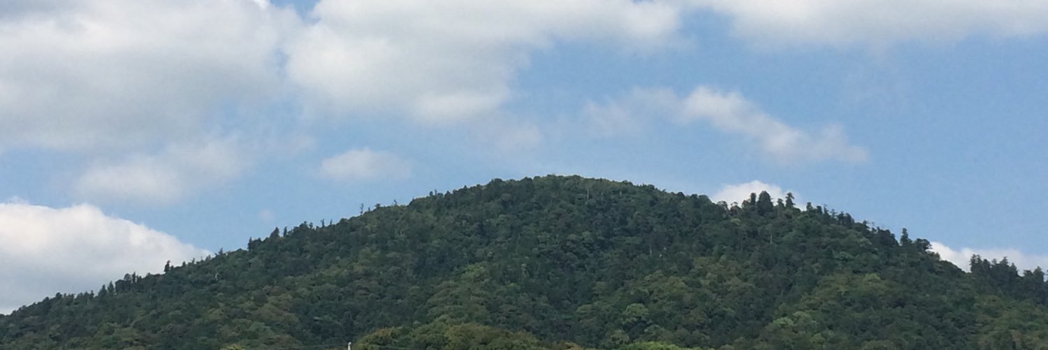 Moon_BotanBotan's profile banner image