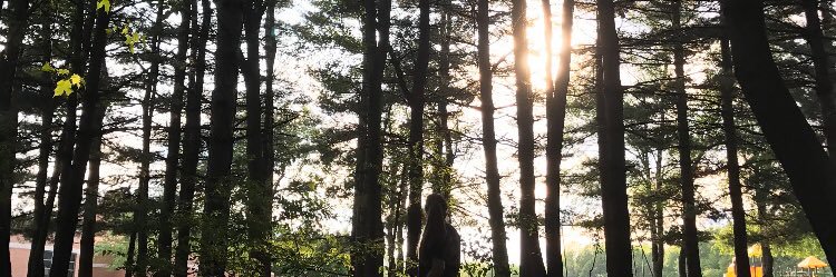 abbeykurmel's profile banner image