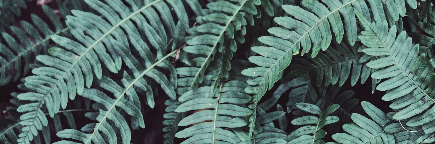 ChrisMartsolf1's profile banner image