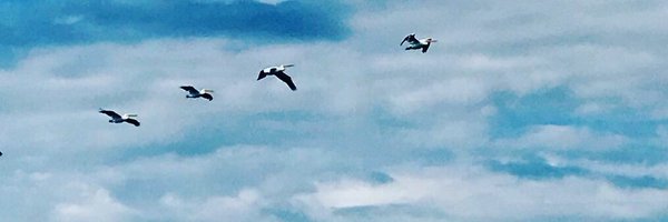 coriknelsen Profile Banner