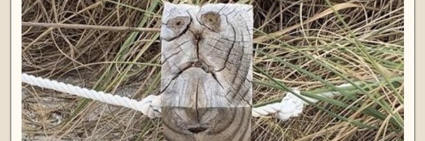garyusred1's profile banner image