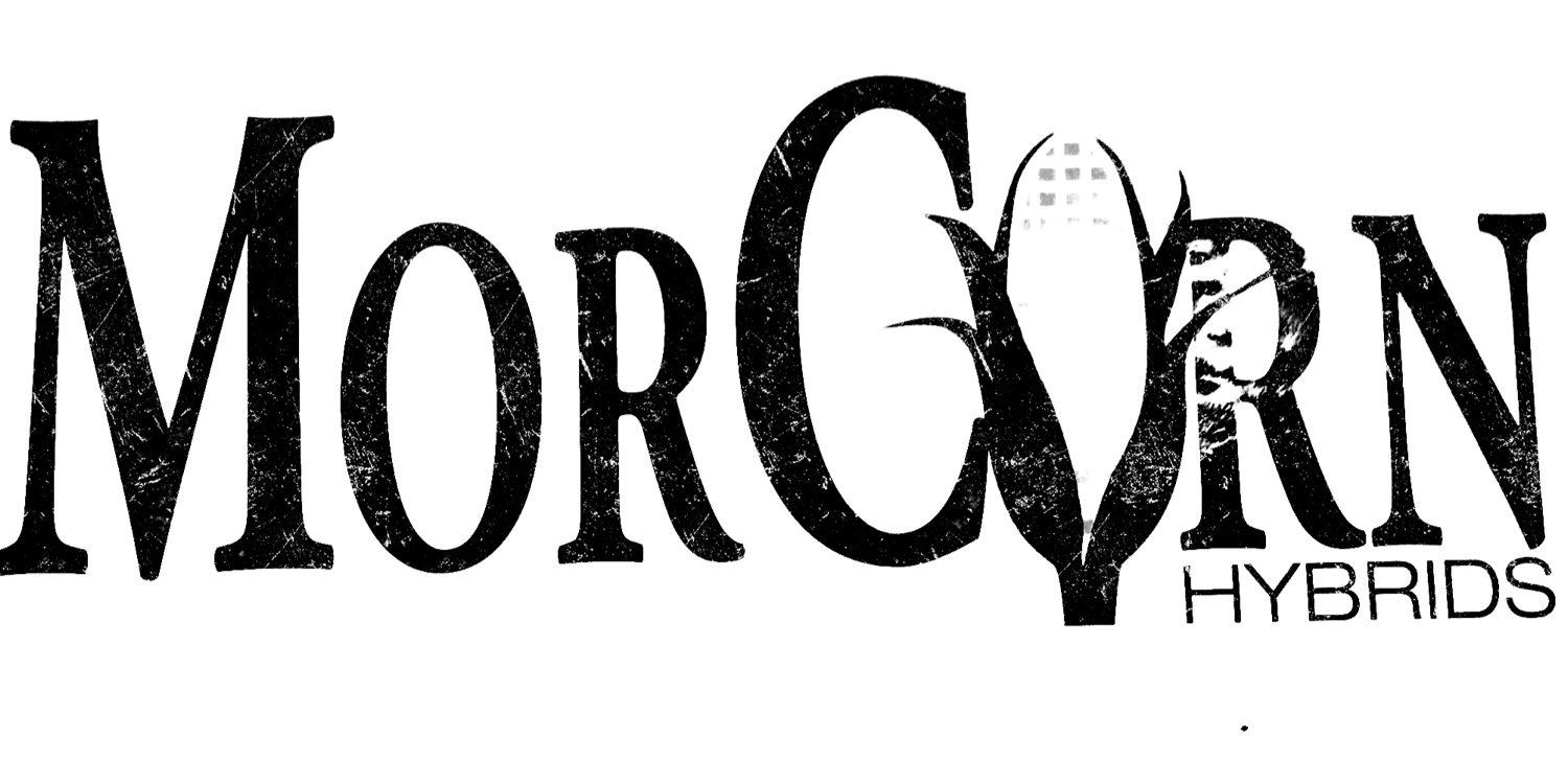 MorCorn Hybrids banner