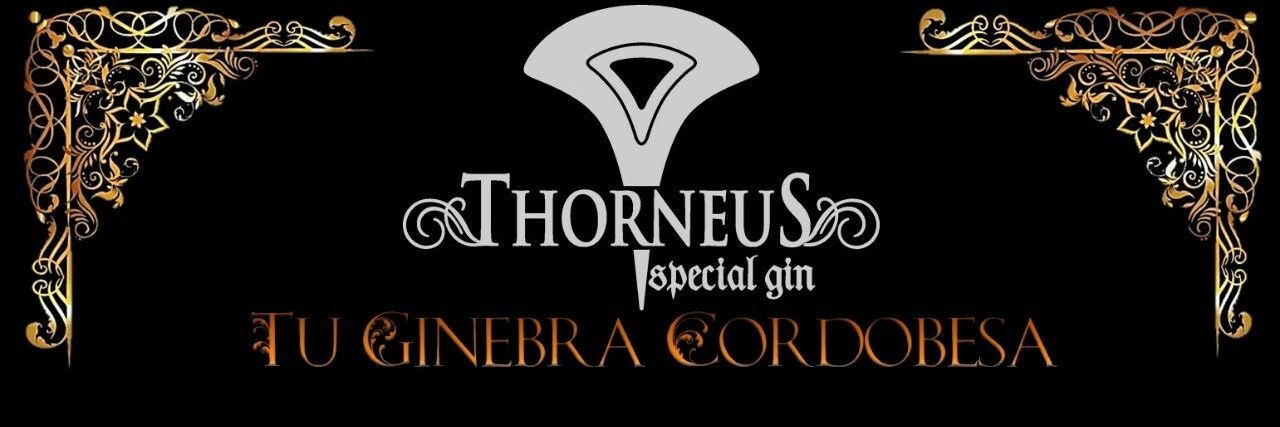 Thorneusgin's profile banner image