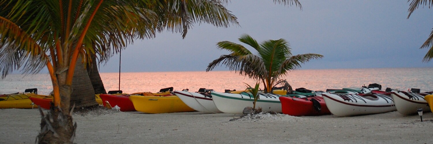 Colin Whooten banner