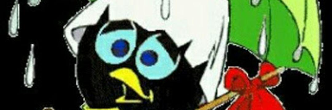 esracelebi71's profile banner image