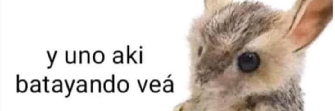 BarbaraVCruz1's profile banner image