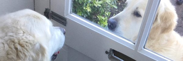 FinnFifth Profile Banner