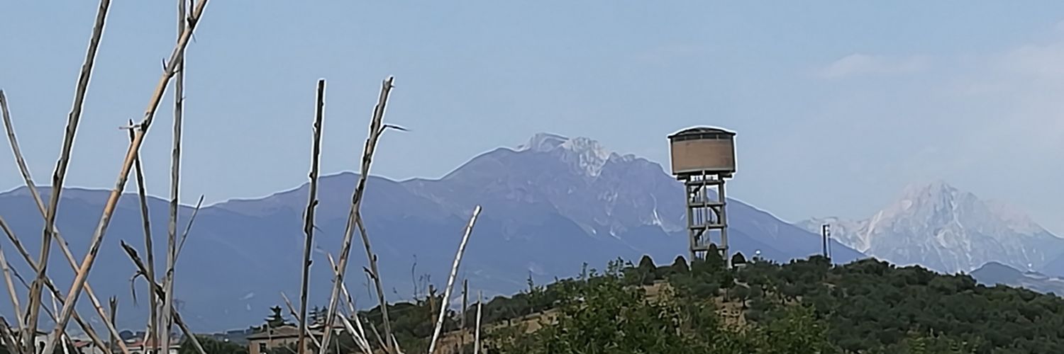 Alexandre Rongemaille banner