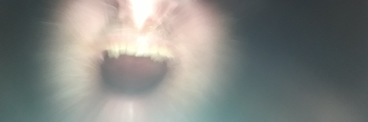 Solace of Quantum banner