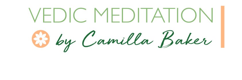StableHouseMed's profile banner image