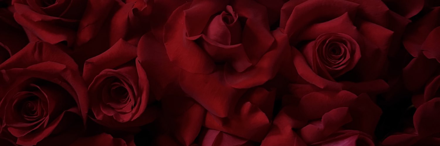 __sylvieee's profile banner image