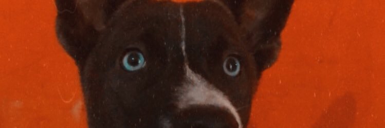 candalis14's profile banner image