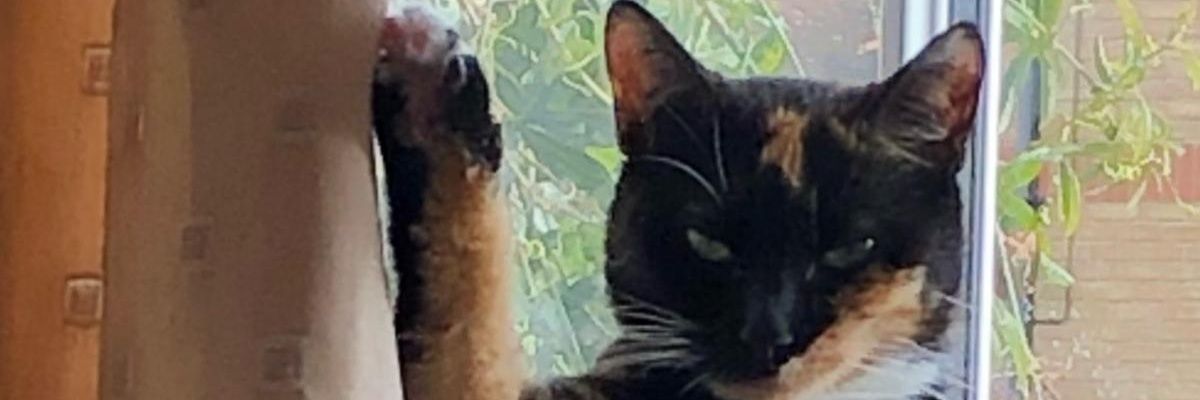2yearban's profile banner image