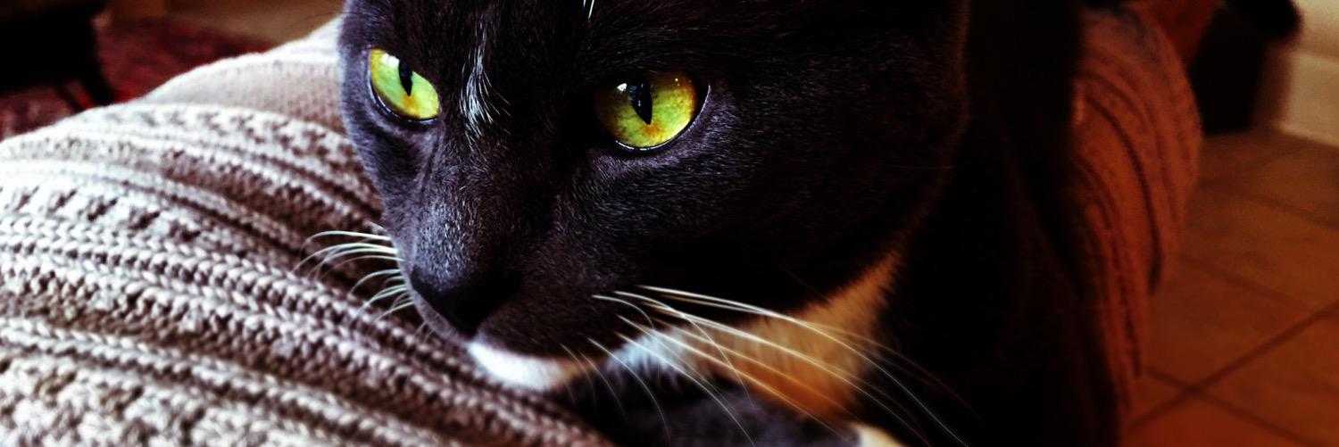 AMYTOWLER's profile banner image