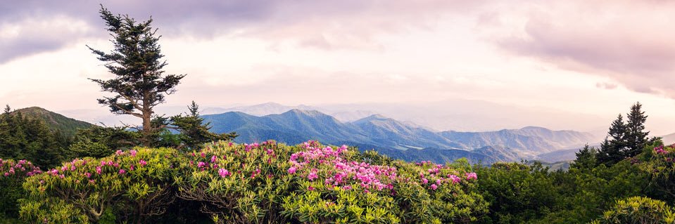 photomalcolm's profile banner image