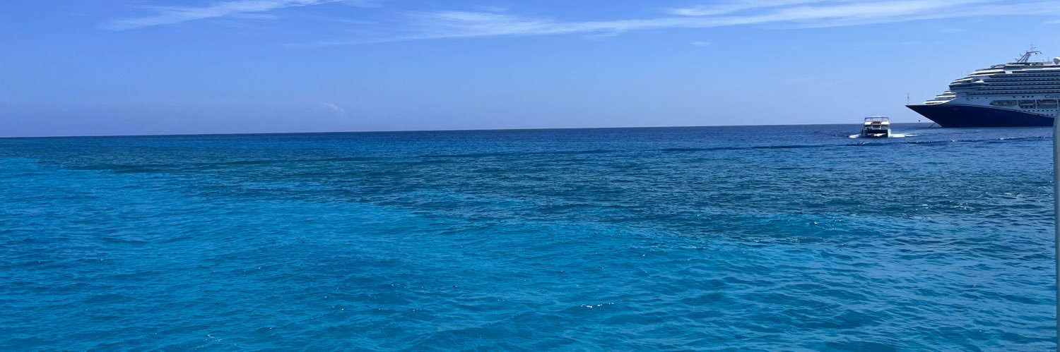 alilndsey's profile banner image