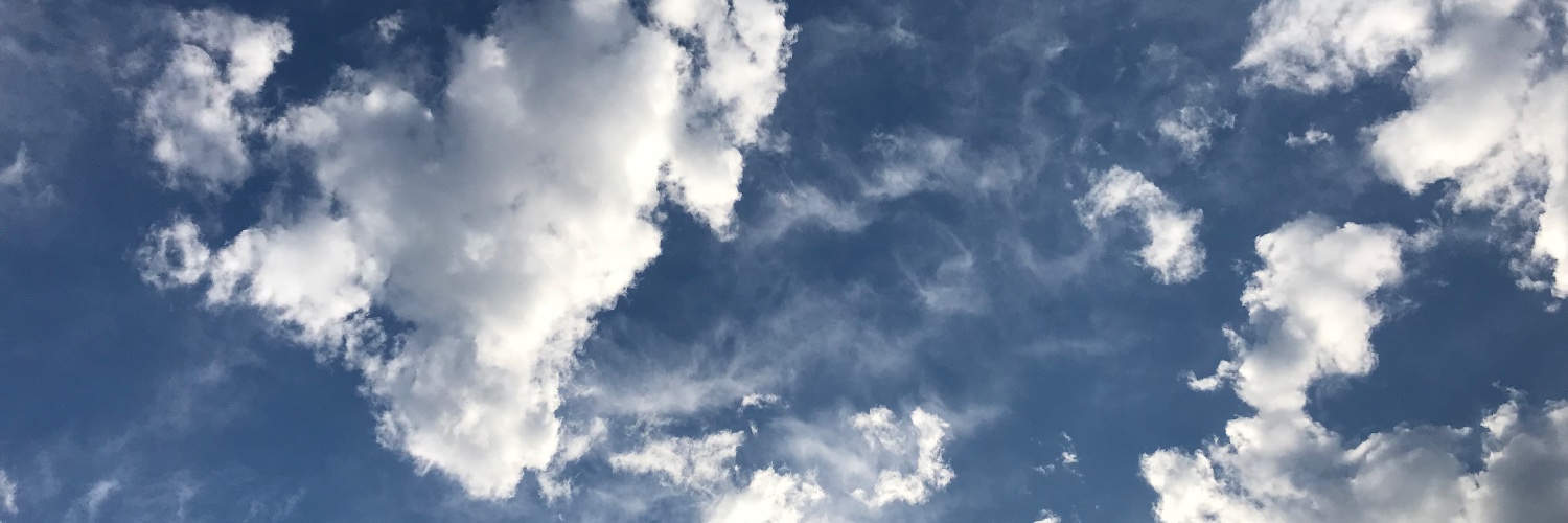 Maia_Turco5's profile banner image