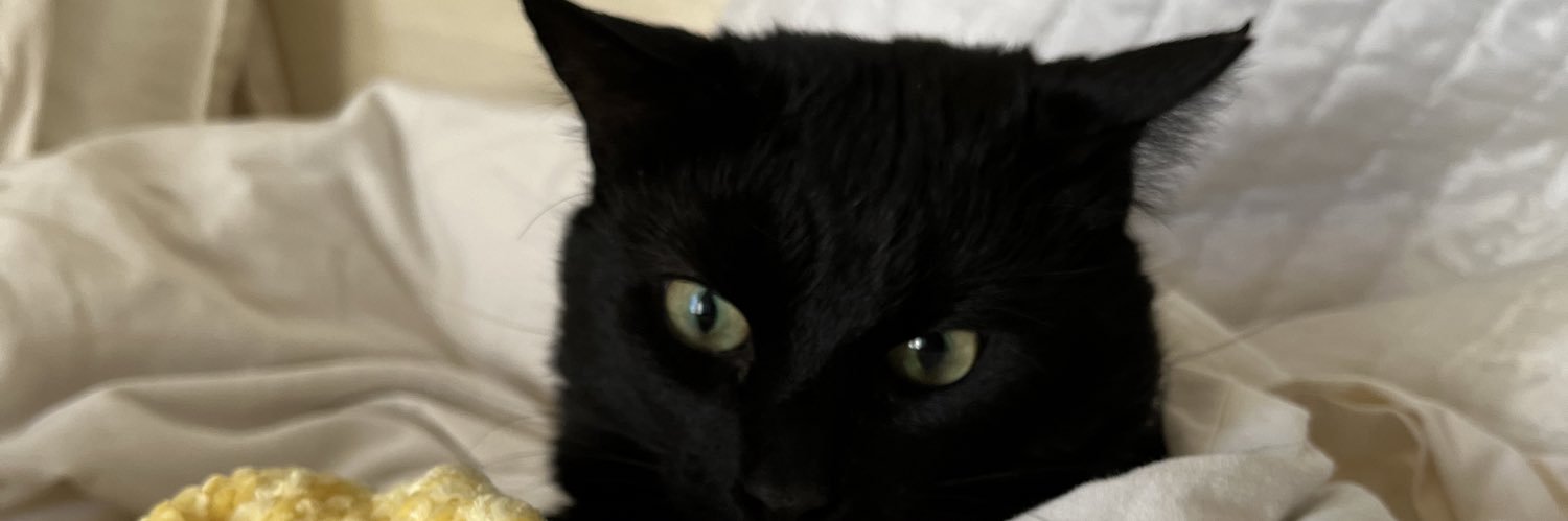 emileefenster's profile banner image