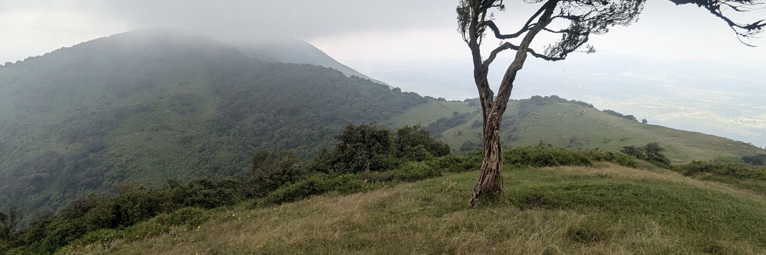 CreativKym's profile banner image