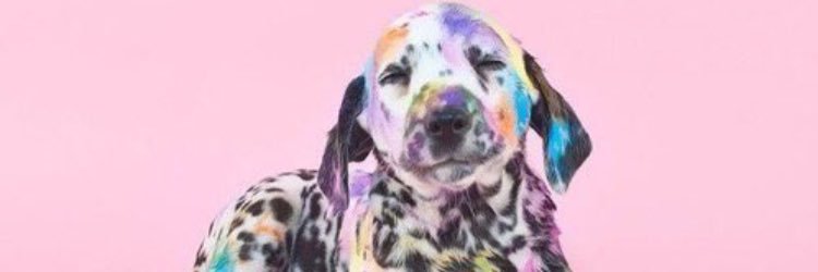 samdingo's profile banner image