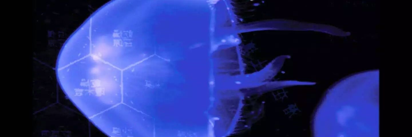 BMcKnuckles's profile banner image