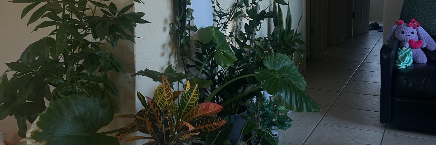 Jabronlames_'s profile banner image