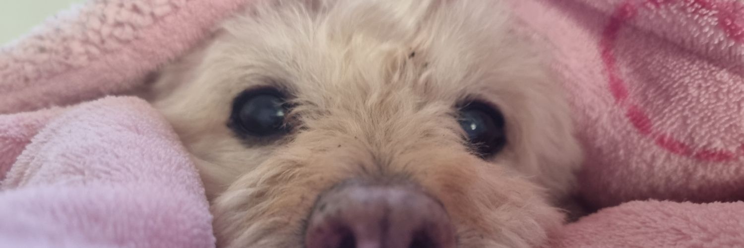 marimars1999's profile banner image