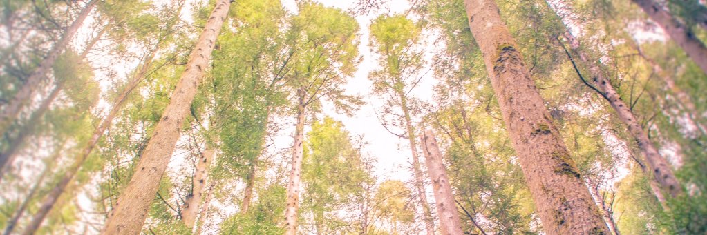 CSafonovs's profile banner image