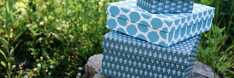 Amy Graham Stigler banner