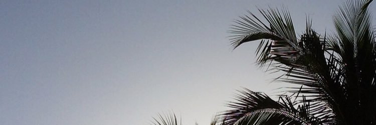 JuliaSicard's profile banner image