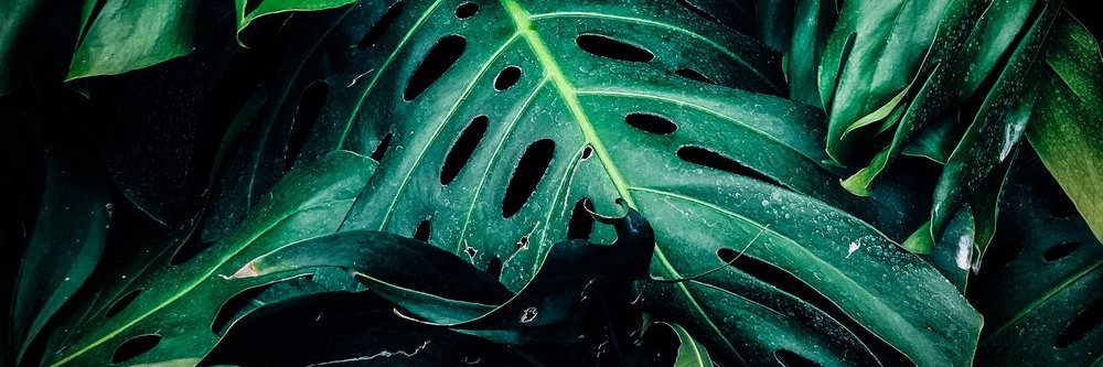 elisha_olade's profile banner image