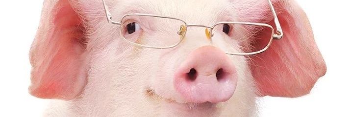 ViaCorso000's profile banner image