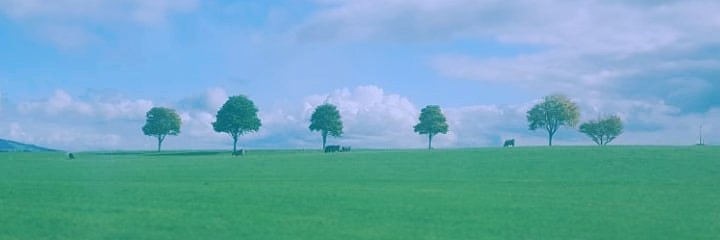 MexPadilla's profile banner image