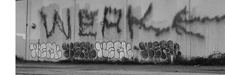 TorTorNoSwagner's profile banner image