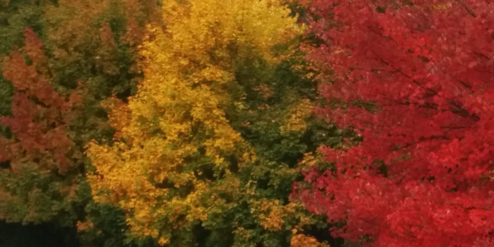focalpointmedia's profile banner image
