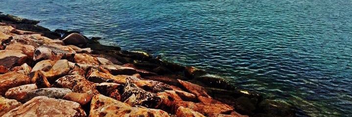 victor_leonv's profile banner image