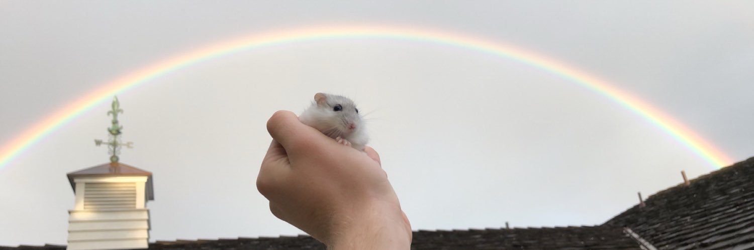 galy_ryan's profile banner image