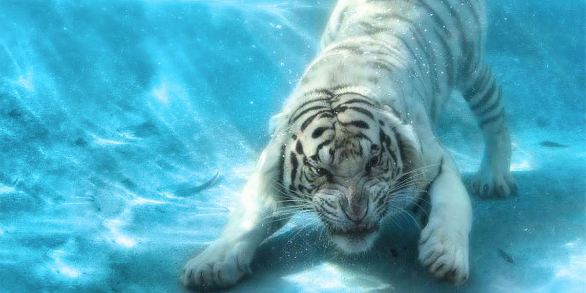 hexebleu's profile banner image