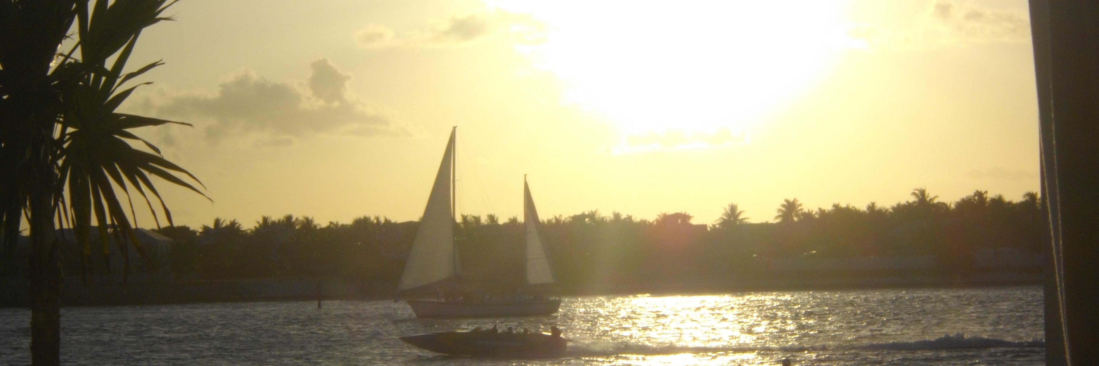 Michael Stepney banner
