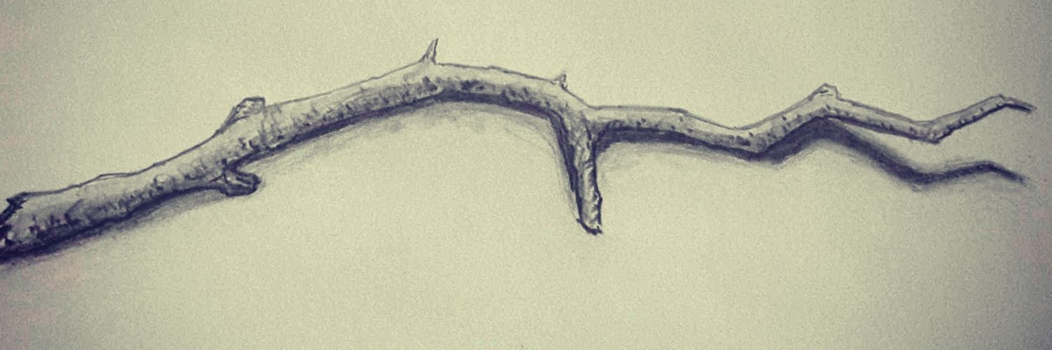 NufasN's profile banner image