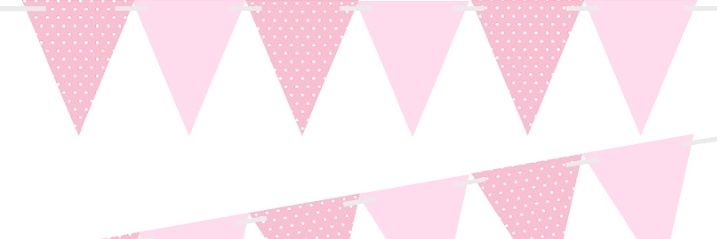 pacificplum banner