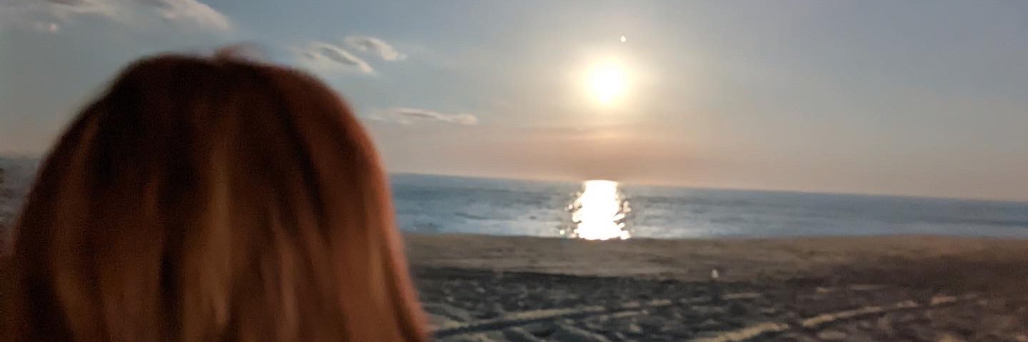 susangilday's profile banner image